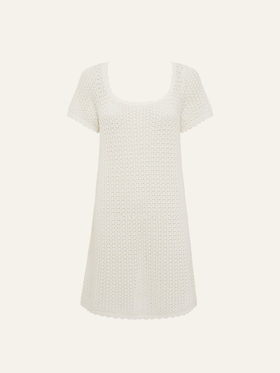 gin pointelle lace mini dress Pointelle Jane Mini Dress