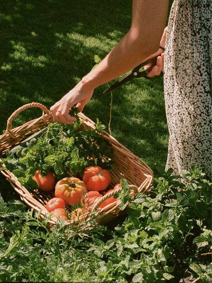 Nicola's Heirloom Tomato Salad - mobile image