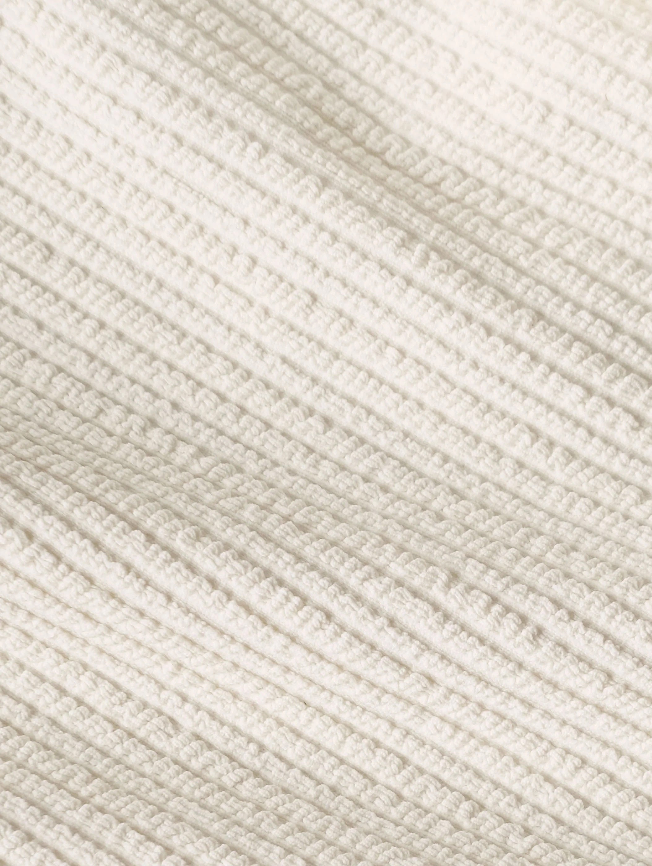 Curve Pant